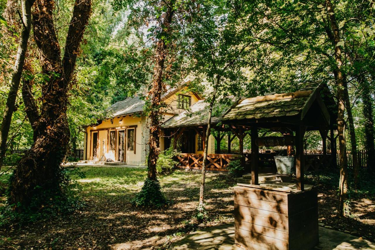 Forest House Vila Palić Exterior foto